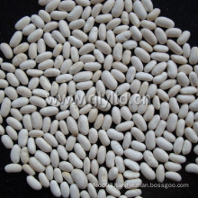 Export Standard Chinese White Kidney Beans